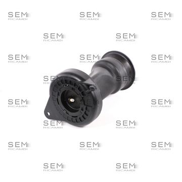 Molla Posteriore Fiat Ducato (250_ 290_)
