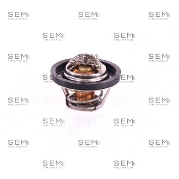 Termostato Denso Nuovo Ford Daewoo 