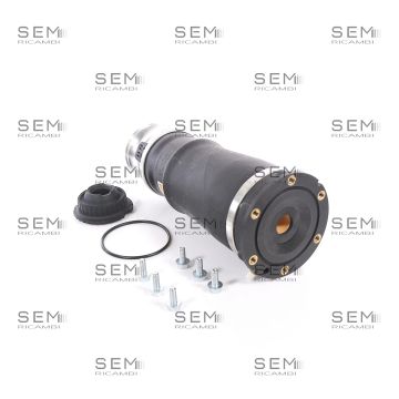 Molla Anteriore Audi Allroad (4BH, C5)
