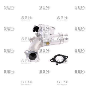 Corpo Farfallato Valeo Renault Dacia 1.5