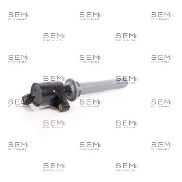 Bobina Accensione Delphi Ford Mazda 3.0