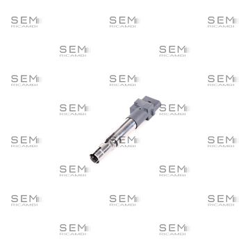 Bobina Delphi Audi Seat Skoda Vw Porsche