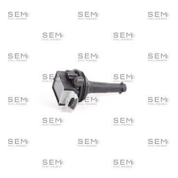 Bobina Accensione New Delphi Volvo Ford