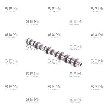 Albero A Camme Fca Opel 1.9 Diesel