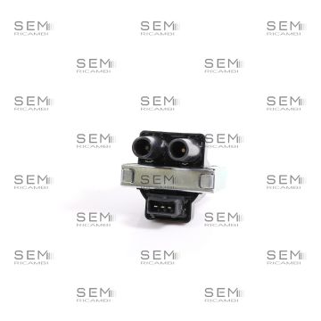 Bobina Accensione Delphi Renault Seat