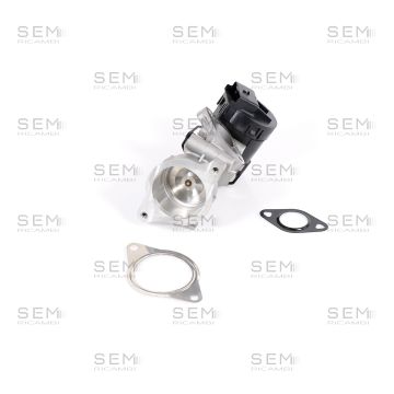 Egr Citroen Peugeot Volvo Ford Fiat 2.0