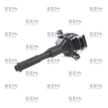 Bobina Delphi Bmw Mg Land Rover Alpina