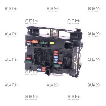 Revisione Body Bsm Citroen Peugeot